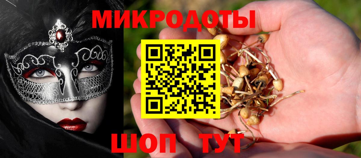 Кудымкар  Псилоцибиновые грибы мицелий  Вход с VPN 