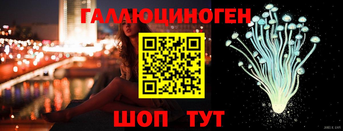 Псилоцибиновые грибы Psilocybine cubensis Кудымкар