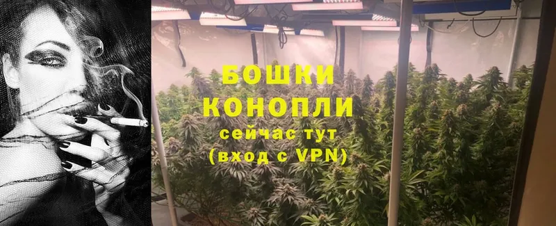 Бошки Шишки OG Kush  сайты даркнета телеграм  Кудымкар  как найти наркотики 